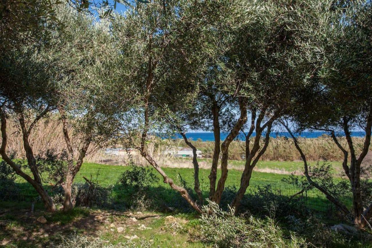 Olive Tree Farm 200M From The Beach Episkopi-Chania Zewnętrze zdjęcie